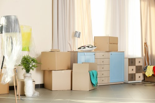 Man and van service moving items in Pimlico street
