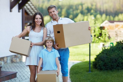 Van transport for furniture and boxes in Pimlico