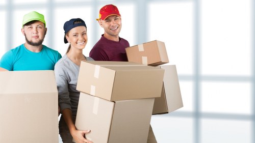 Professional Pimlico moving service handling furniture and boxes