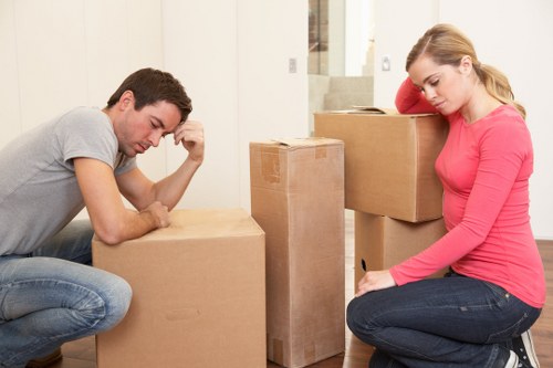 Flexible man and van moving support in Pimlico