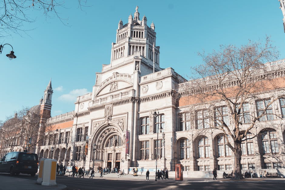 Pimlico removals for small businesses near Tate Britain