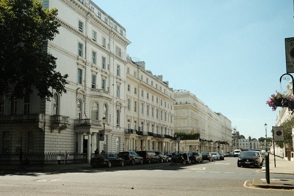 A street view in Pimlico showing a row of white, multi-storey Victorian-style terraced houses with detailed architectural features and tall windows. Parked cars line the curb on both sides of the street, including a black van positioned near the sidewalk on the right, which is partially visible. The sidewalk on the right features a lamppost with hanging flower baskets, and a 'no parking' sign attached to a tall pole. In the foreground, part of the pavement and a nearby tree casting shadow are visible. The image captures a clear, bright day with natural sunlight illuminating the scene. [COMPANY_NAME] is involved in home relocation or furniture transport services, often coordinating loading and unloading processes using the street infrastructure and parking areas, reflected in the urban environment depicted.
